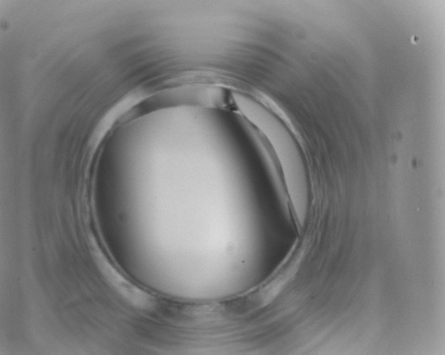 X0000070401434200606302000