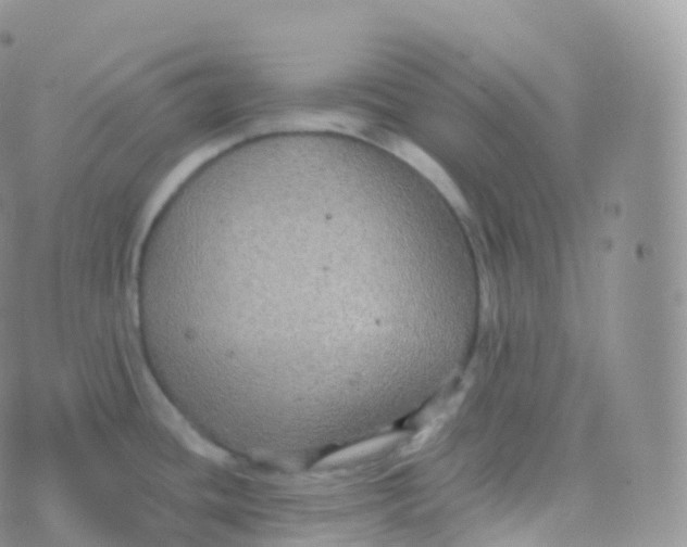 X0000070401436200606302000