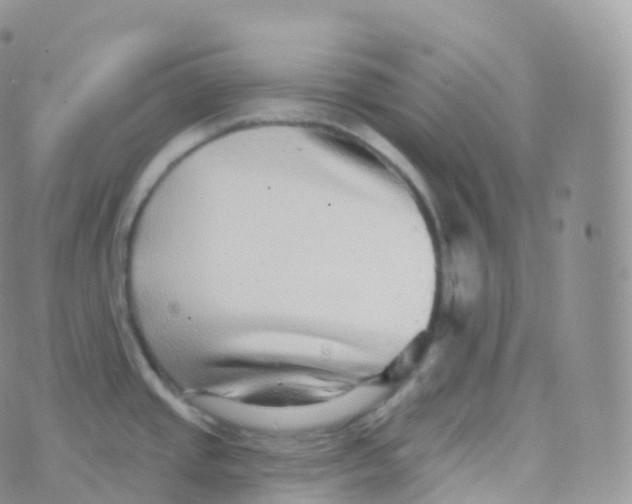 X0000070401437200606302000