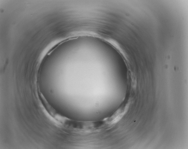 X0000070401438200606302000