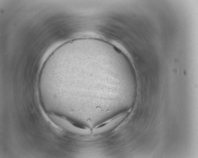 X0000070401440200606302000