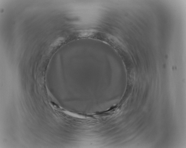 X0000070401441200606301959