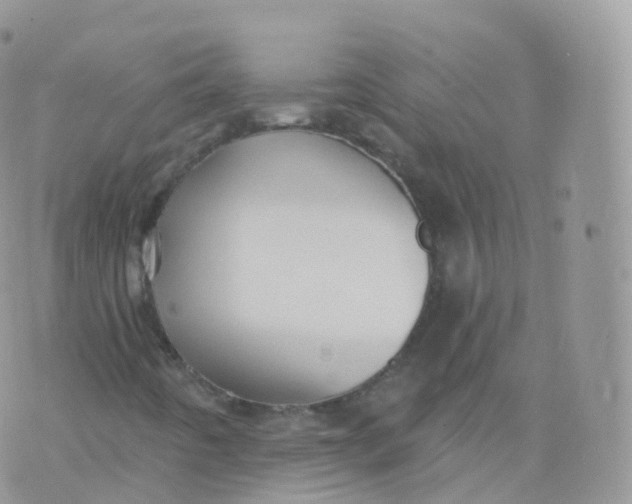 X0000070401442200606301959