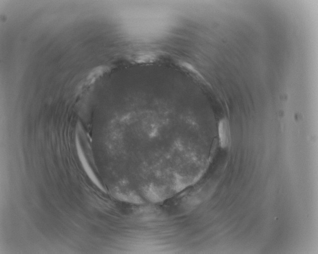 X0000070401443200606301959