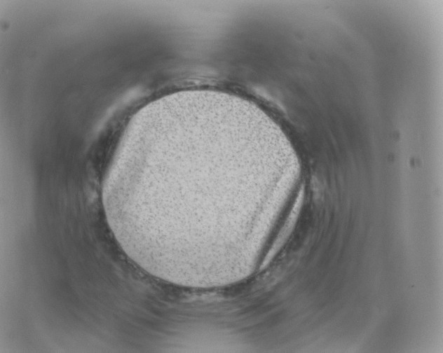 X0000070401447200606301959