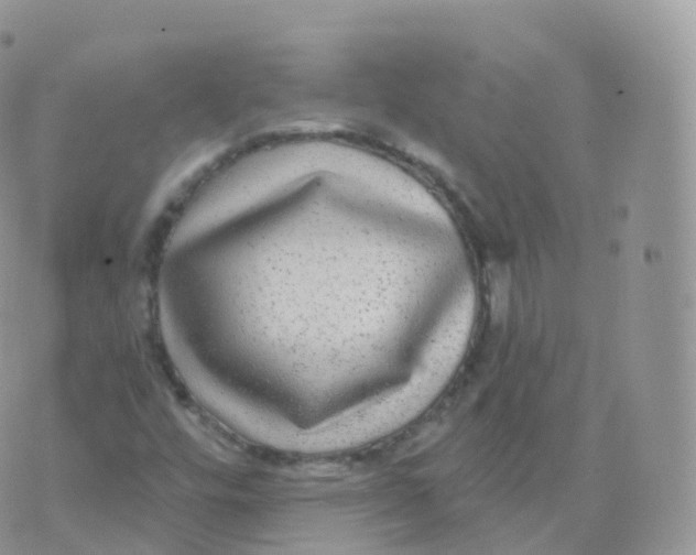 X0000070401448200606301959