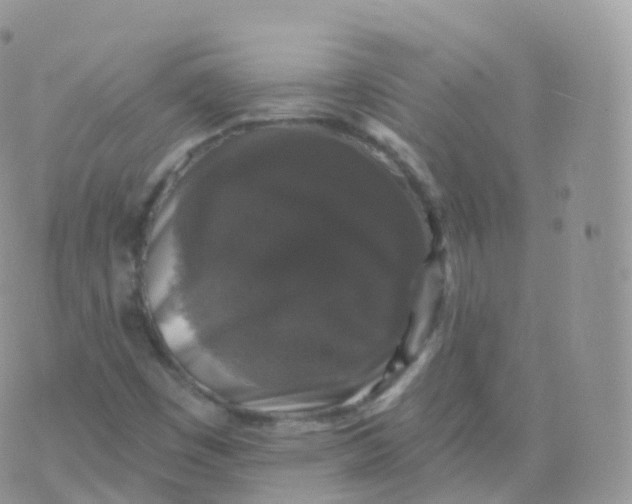 X0000070401449200606301959