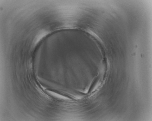 X0000070401450200606301959