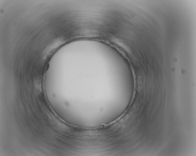 X0000070401451200606301959