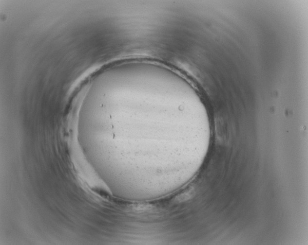 X0000070401452200606301959