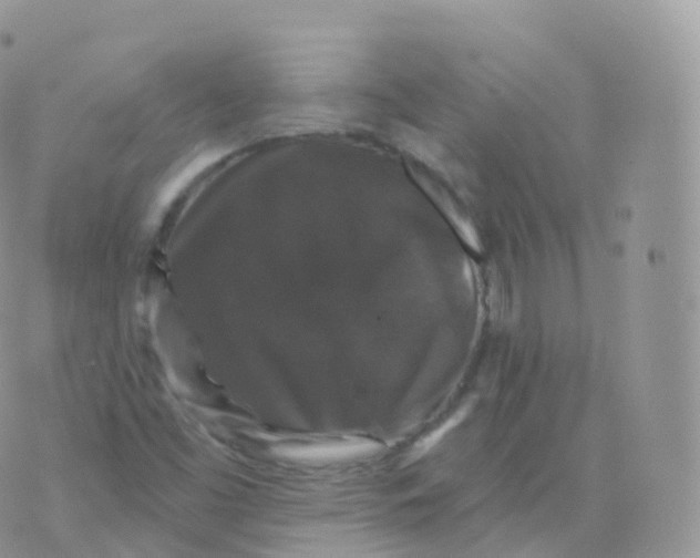 X0000070401453200606301959