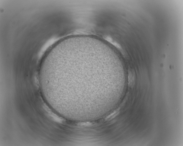 X0000070401454200606301959