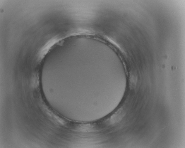 X0000070401455200606301959