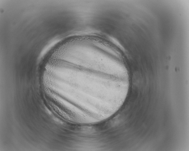 X0000070401456200606301959