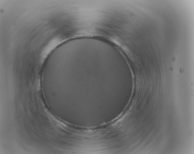 X0000070401459200606301959