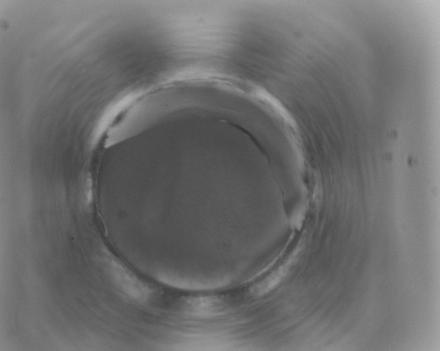 X0000070401461200606301959