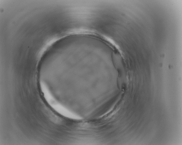 X0000070401463200606301959