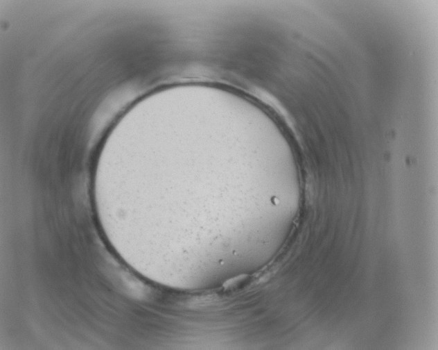 X0000070401464200606301959