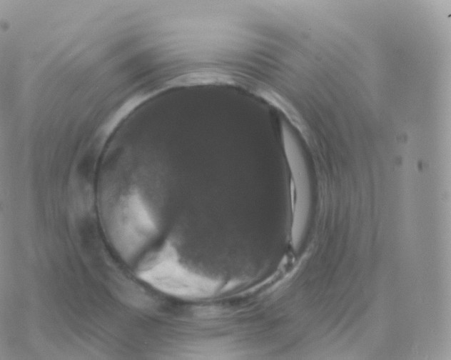 X0000070401465200606301959