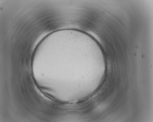 X0000070401468200606301959