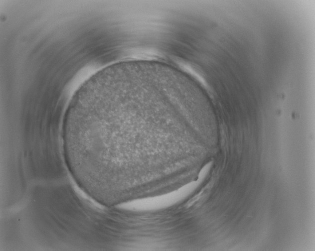 X0000070401471200606301959