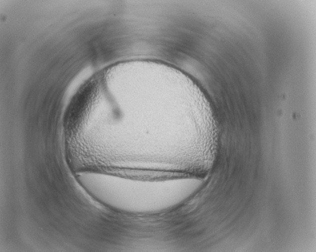 X0000070401472200606301959