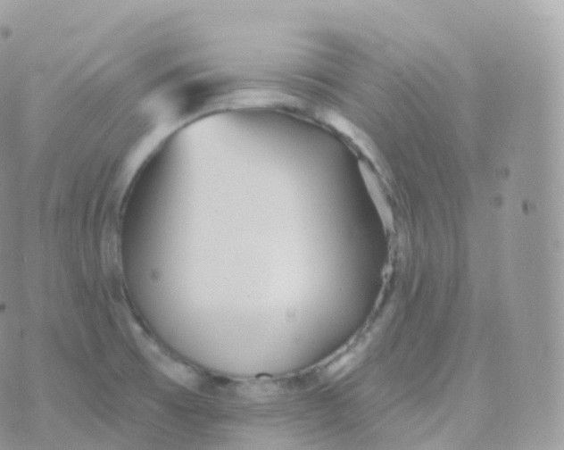 X0000070401473200606301959