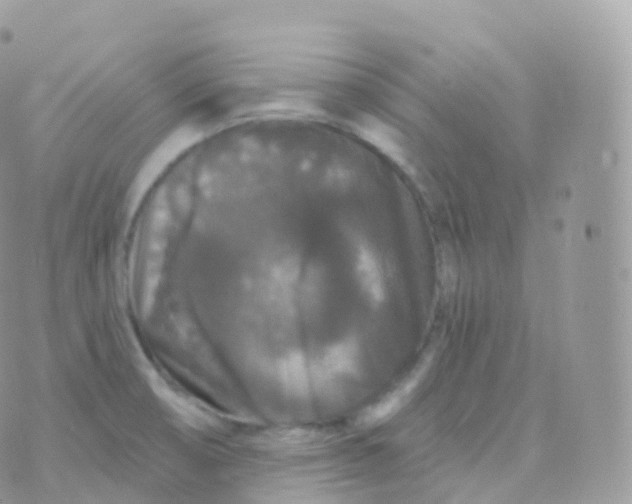 X0000070401474200606301959