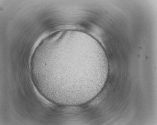 X0000070401475200606301959