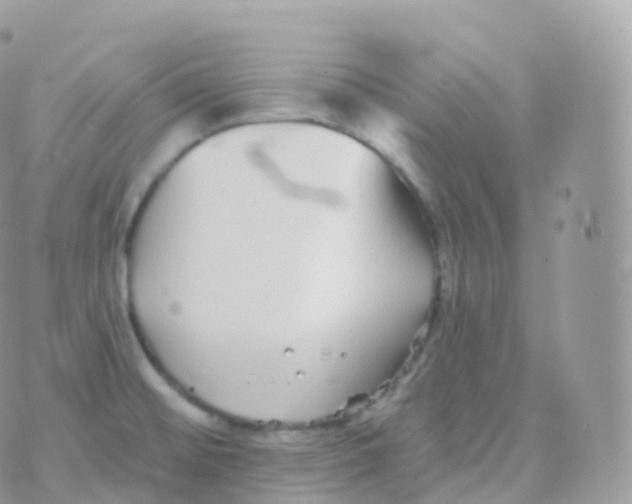 X0000070401476200606301959