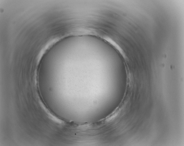 X0000070401477200606301959