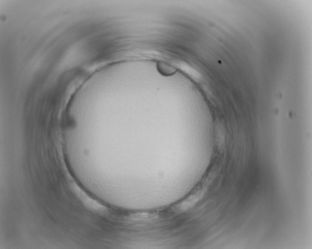 X0000070401478200606301959