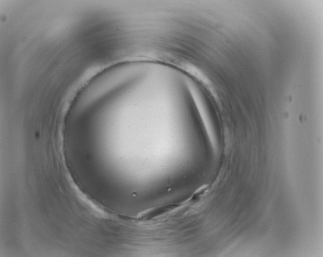 X0000070401480200606301959