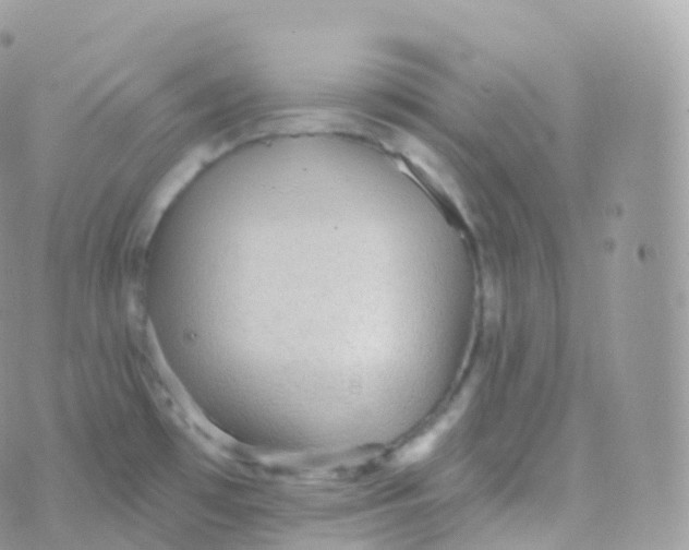 X0000070401481200606301959