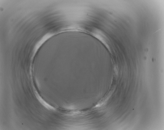 X0000070401482200606301959