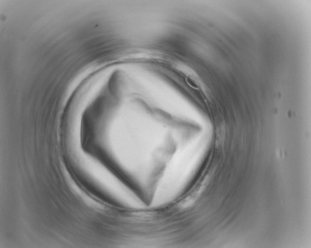 X0000070401483200606301959