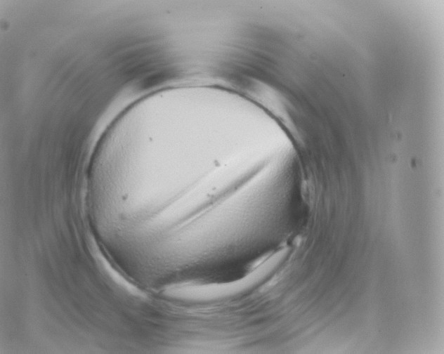 X0000070401484200606301959