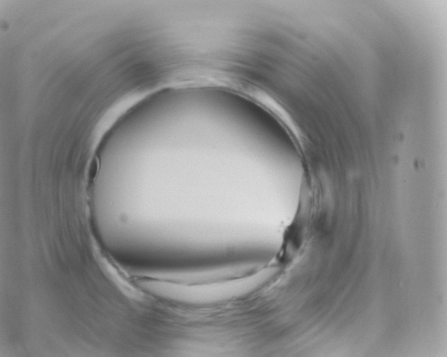 X0000070401485200606301959