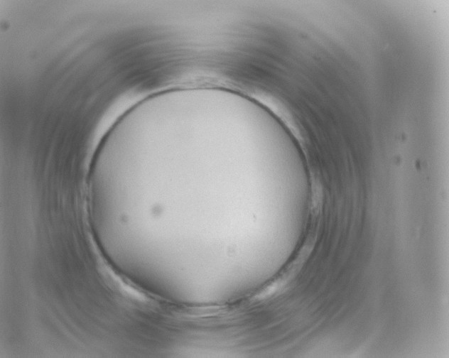 X0000070401486200606301959