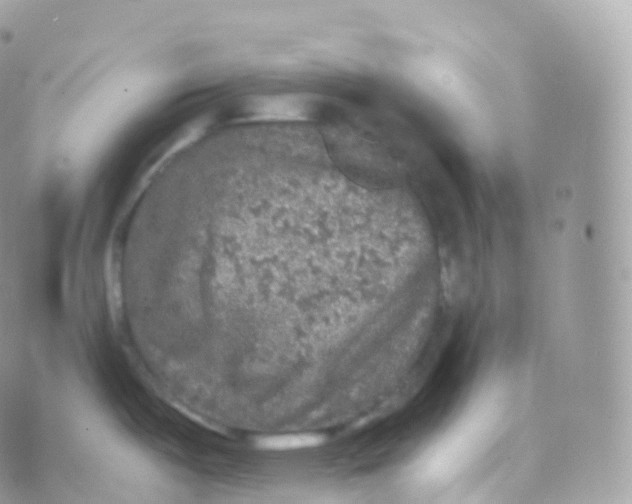 X0000070401487200606301959