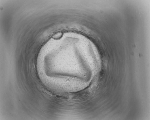 X0000070401489200606301958