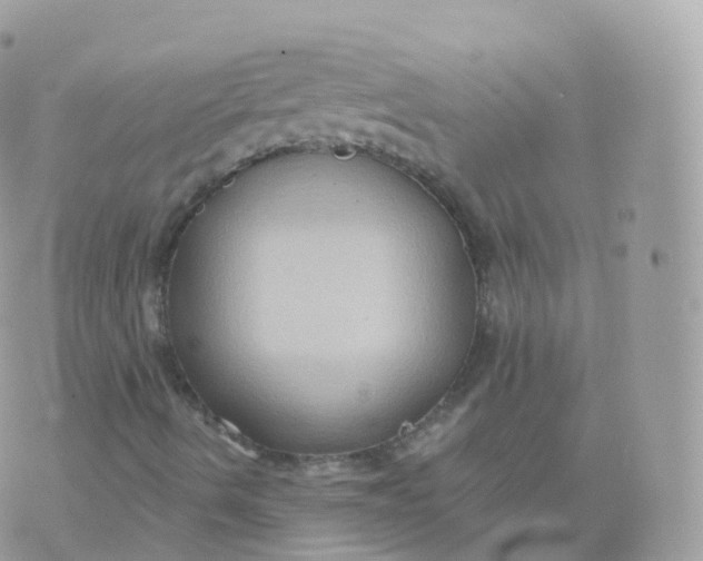 X0000070401490200606301958