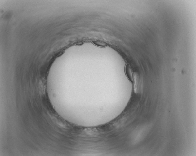 X0000070401491200606301958