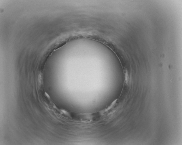 X0000070401492200606301958