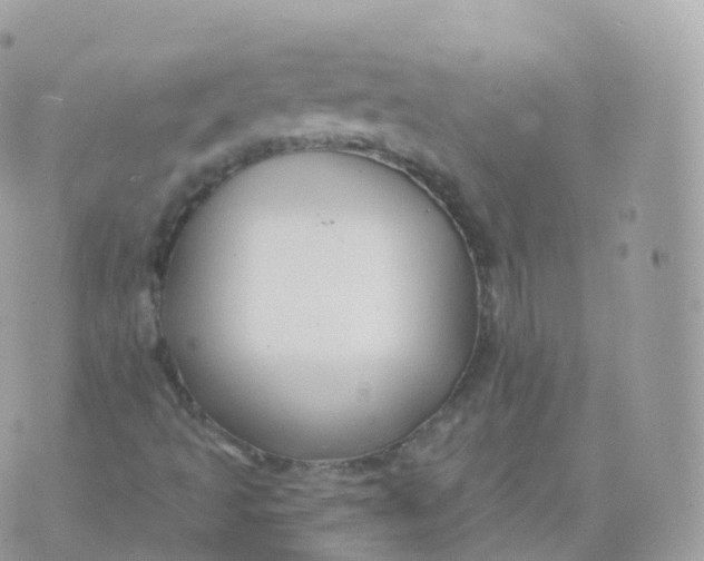 X0000070401493200606301958