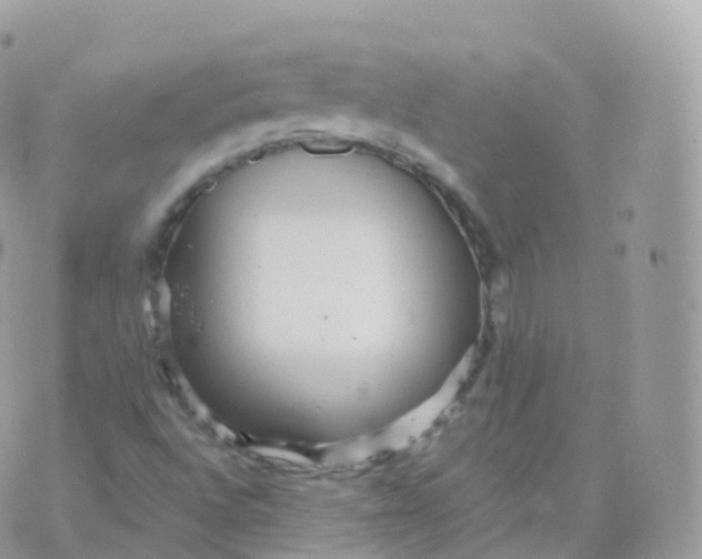 X0000070401496200606301958