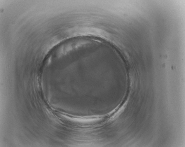 X0000070401497200606301958