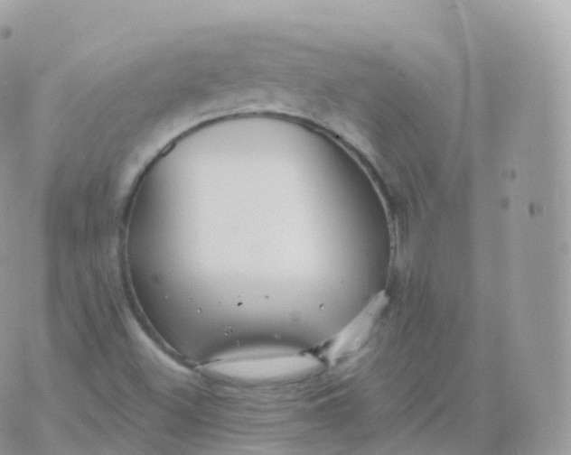 X0000070401500200606301958