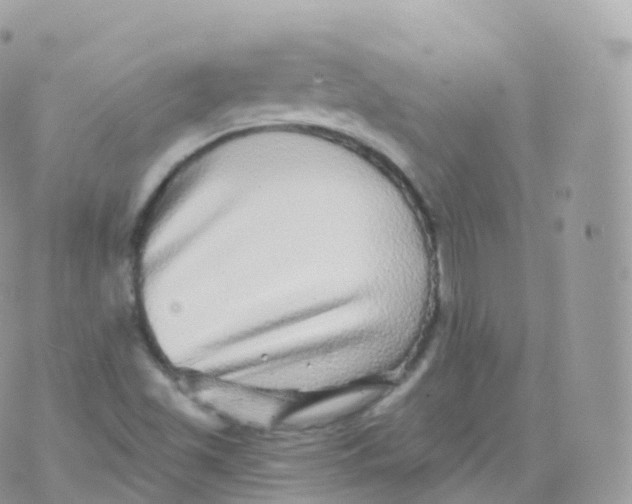 X0000070401501200606301958