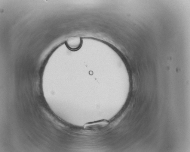 X0000070401502200606301958